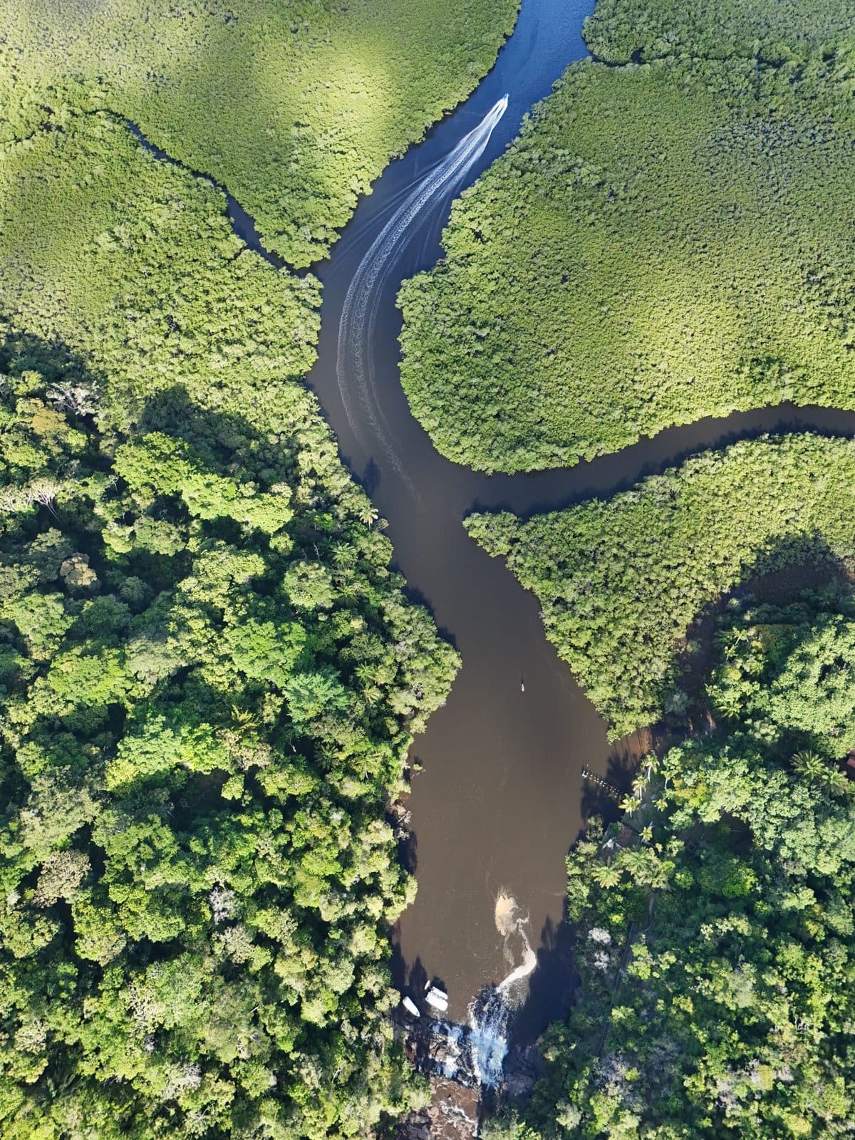 Rio na mata · Maraú, BA